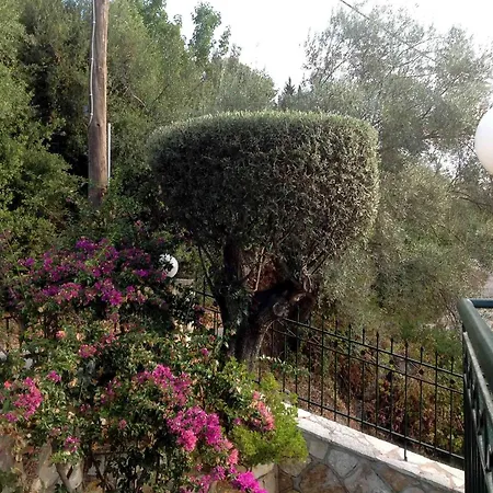 Diana Никиана